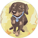 Arseni Babuk profile picture